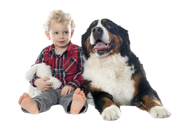 little-boy-and-dog-1024x741-removebg-preview